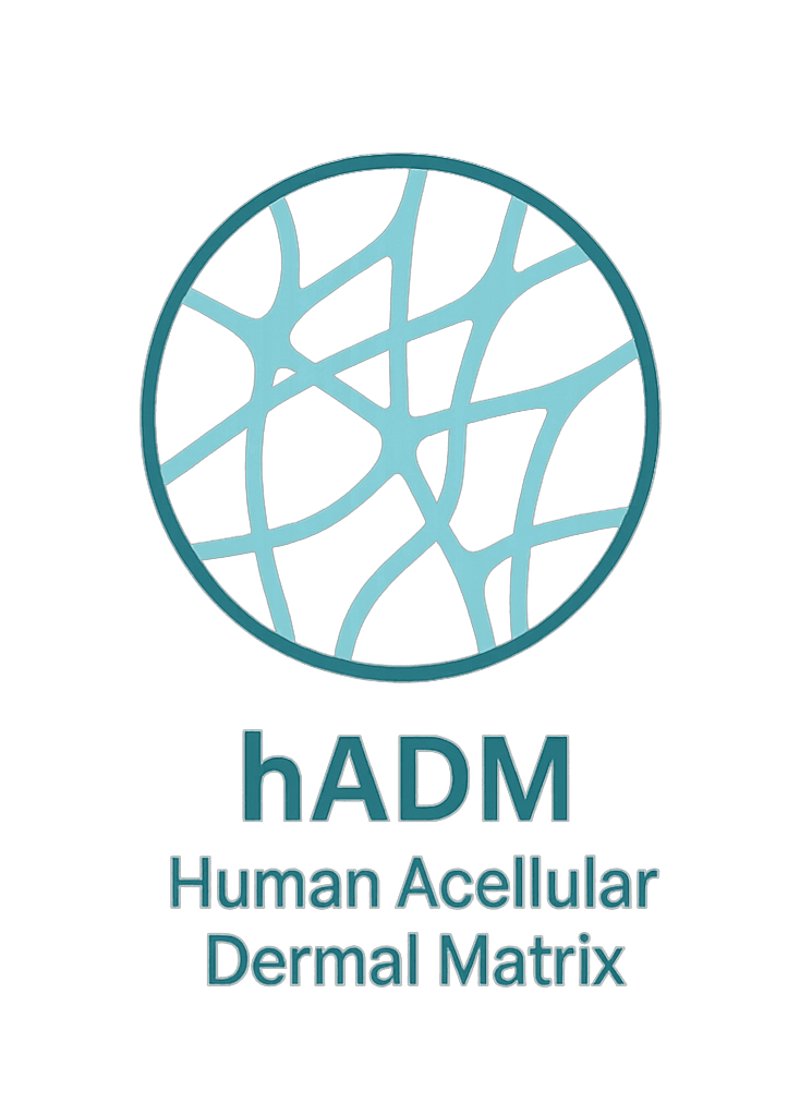 hADM은 인체 유래 진피에서 세포를 제거하고 ECM 구조만 남긴 무세포 진피입니다. 면역 반응을 최소화하며 ECM 성분을 안전하게 피부에 전달할 수 있습니다.